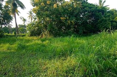 372 Sq. Yards Residential Plot For Sale In Tanuku, West Godavari