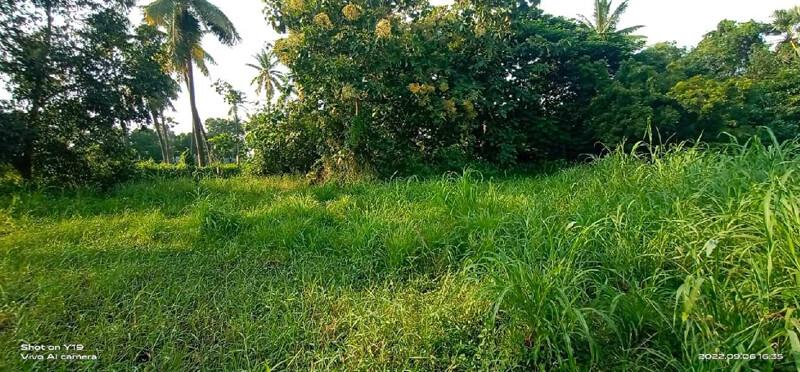 372 Sq. Yards Residential Plot For Sale In Tanuku, West Godavari